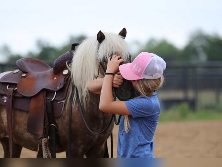 Fler ponnyer/små hästar Valack 7 år 109 cm Palomino in Powell Butte, OR