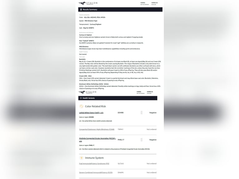 Francés de silla (Selle francais) Semental 3 años 173 cm Bayo in Lamorlaye