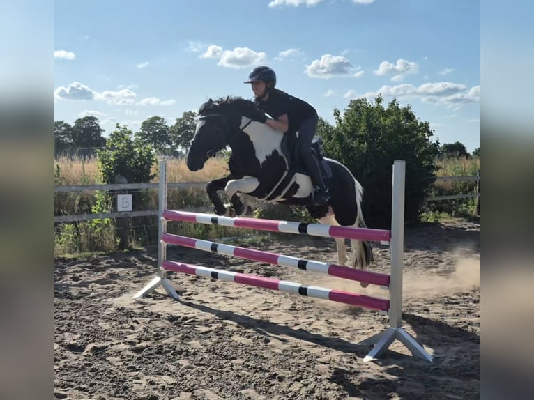 Franse rijpaarden Mix Ruin 13 Jaar 138 cm Gevlekt-paard in Uetze