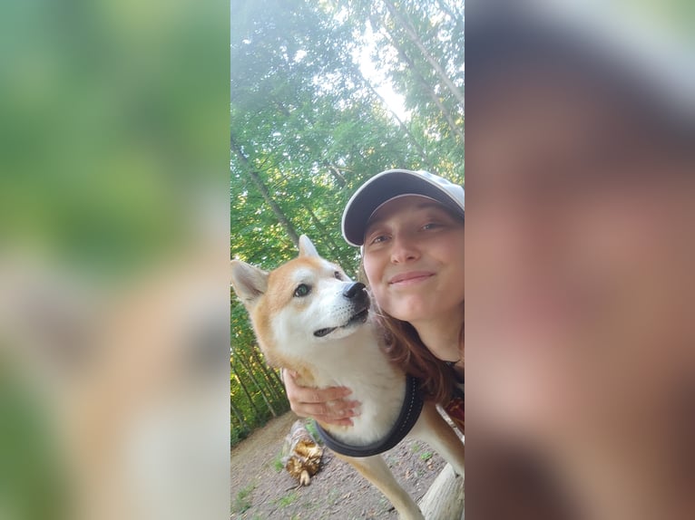 Freizeit-Reitbeteiligung gesucht (3x Monat)