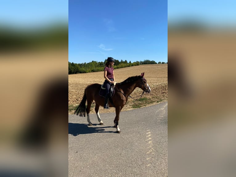 Freizeitpartner gesucht