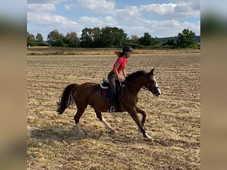 Freizeitpartner gesucht
