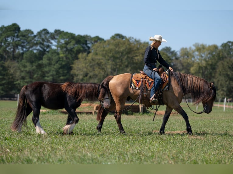 Fries paard Mix Ruin 7 Jaar 155 cm Falbe in Vincent