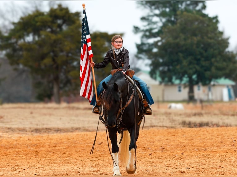 Friesian horses Mare 6 years 15,1 hh Pinto in Quitman