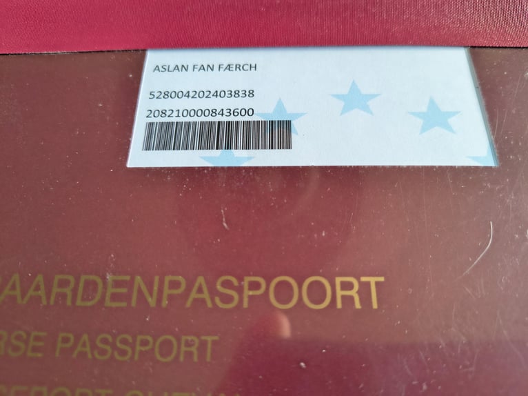 Frison Étalon 1 Année in Aalestrup