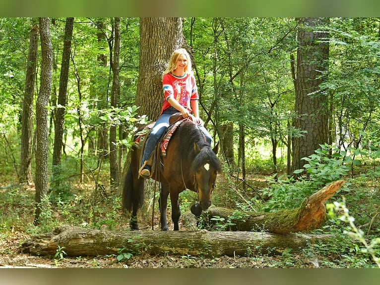 Frison Hongre 7 Ans 163 cm Noir in Nottingham