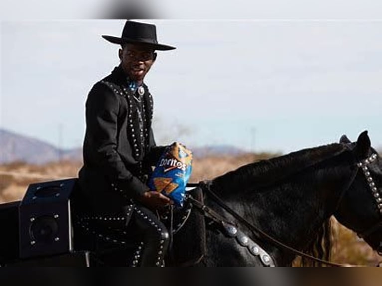 Frison Croisé Jument 2 Ans 152 cm Gris in Corona, CA