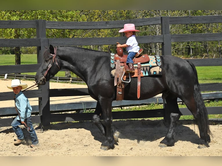 Frisones Caballo castrado 5 años 163 cm Negro in London