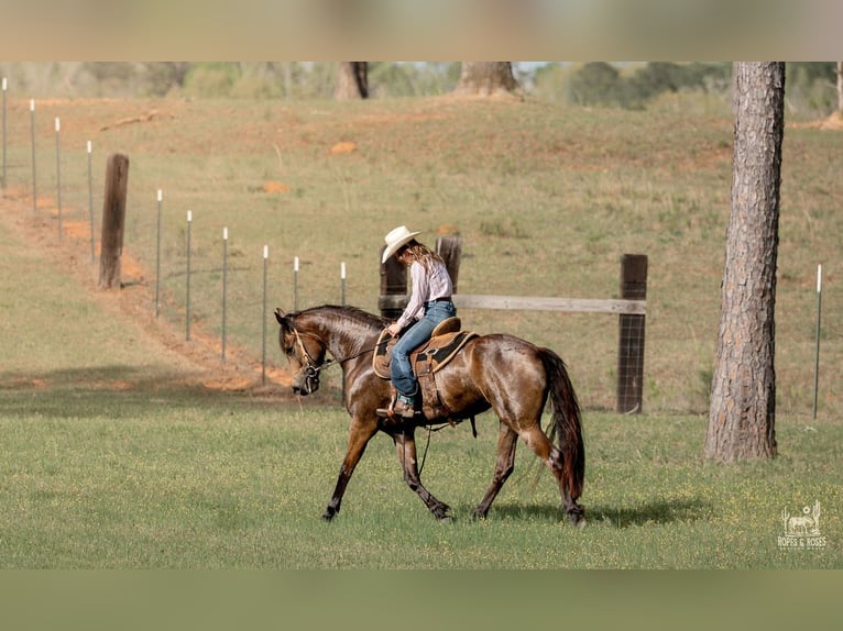 Frisones Mestizo Yegua 4 años Buckskin/Bayo in Vincent