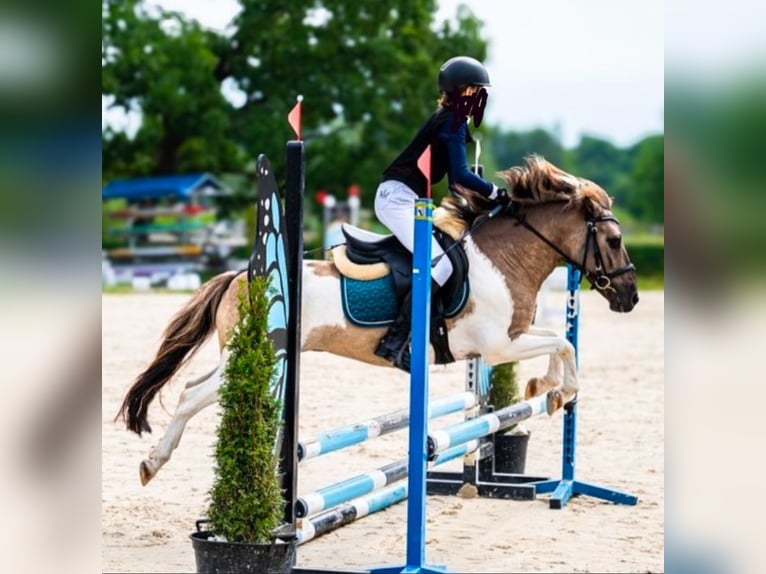 Galés B Mestizo Caballo castrado 9 años 130 cm Pío in Łęg Tarnowski