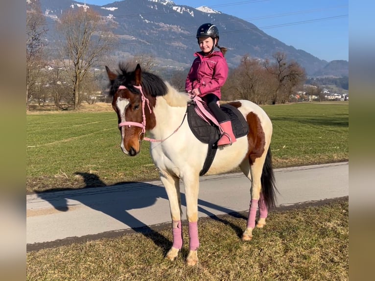 Galés-D Caballo castrado 5 años 138 cm Pío in Schlins