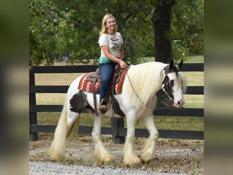 Gelderland Gelding 6 years 15 hh Tobiano-all-colors in M&#xFC;nchen