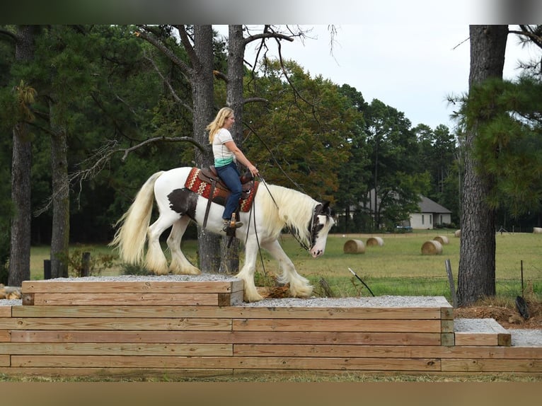 Gelderland Gelding 6 years 15 hh Tobiano-all-colors in M&#xFC;nchen