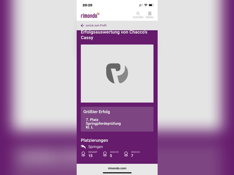 German Riding Horse Mare 7 years 17 hh Brown in Gronau (Westfalen)