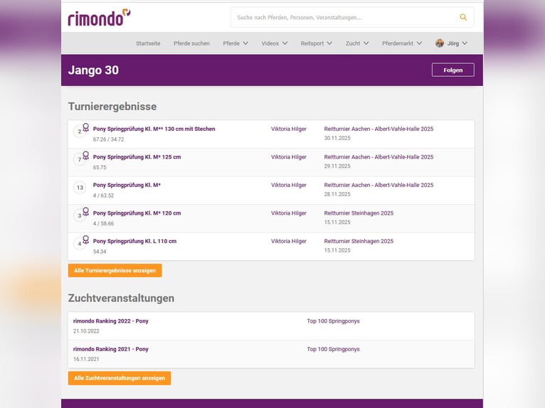 German Riding Pony Gelding 13 years 14.2 hh Chestnut-Red in Braunschweig