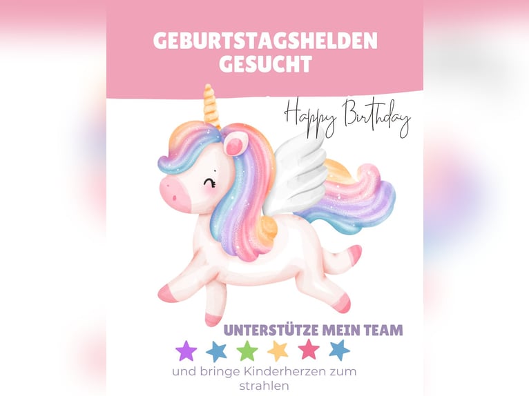 German Riding Pony Gelding 2 years 14.1 hh Dun in Buchholz in der Nordheide