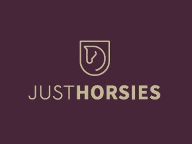 German Riding Pony Gelding 9 years 14,1 hh Chestnut-Red in Fredericia