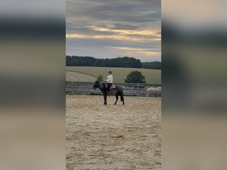 Gesucht wird eine RB für unsere 11 jährige Tochter 