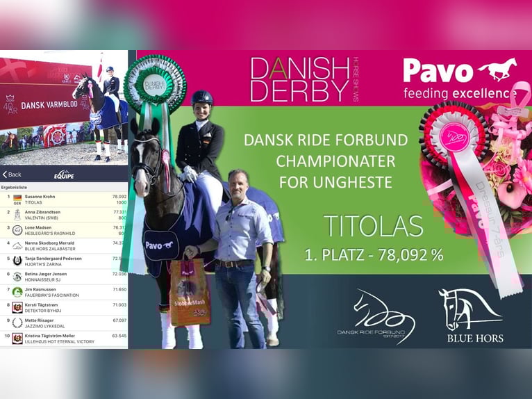 GRANDPRIX DECKHENGST TITOLAS (TOTILAS X STEDINGER) Hannoveraner Hengst in D&#xE4;tgen