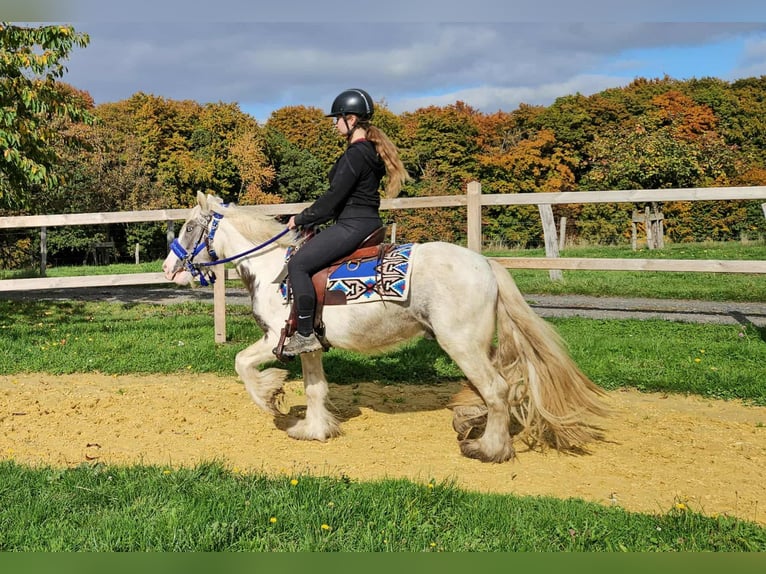Gypsy Horse Gelding 4 years 14 hh Pinto in Linkenbach