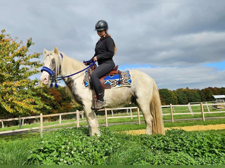 Gypsy Horse Gelding 5 years 14 hh Pinto in Linkenbach