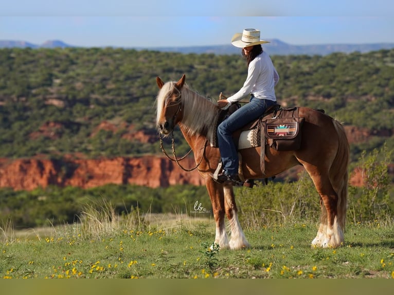 Gypsy Horse Mix Gelding 6 years Sorrel in Terrell, TX