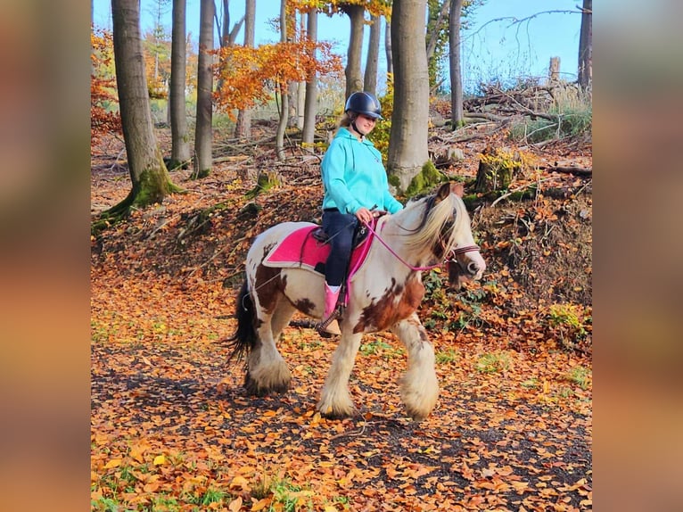 Gypsy Horse Mare 10 years 14 hh Pinto in Linkenbach