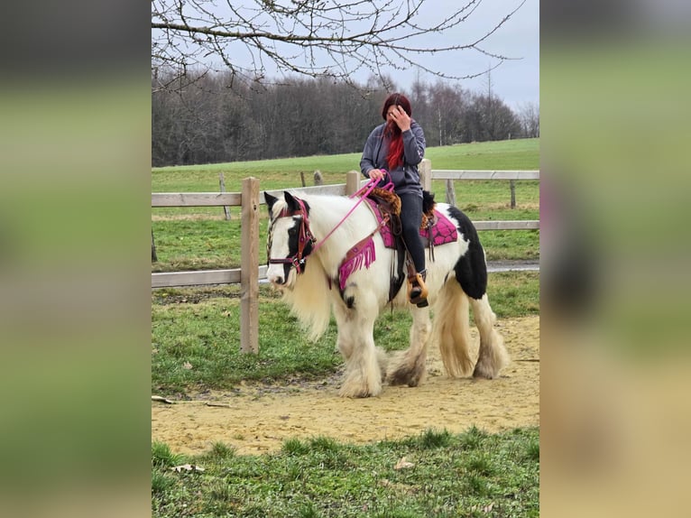 Gypsy Horse Mare 15 years 14,1 hh Pinto in Linkenbach