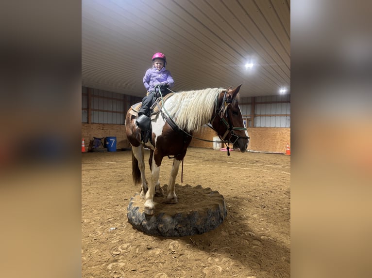 Gypsy Horse Mix Mare 4 years Pinto in Warsaw