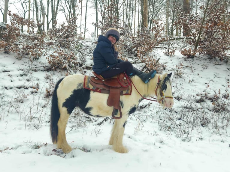 Gypsy Horse Mare 5 years 13,1 hh Pinto in Linkenbach