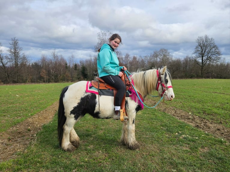 Gypsy Horse Mare 5 years 13,1 hh Pinto in Linkenbach