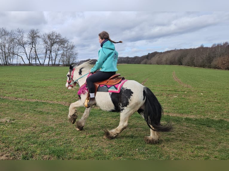 Gypsy Horse Mare 5 years 13,1 hh Pinto in Linkenbach