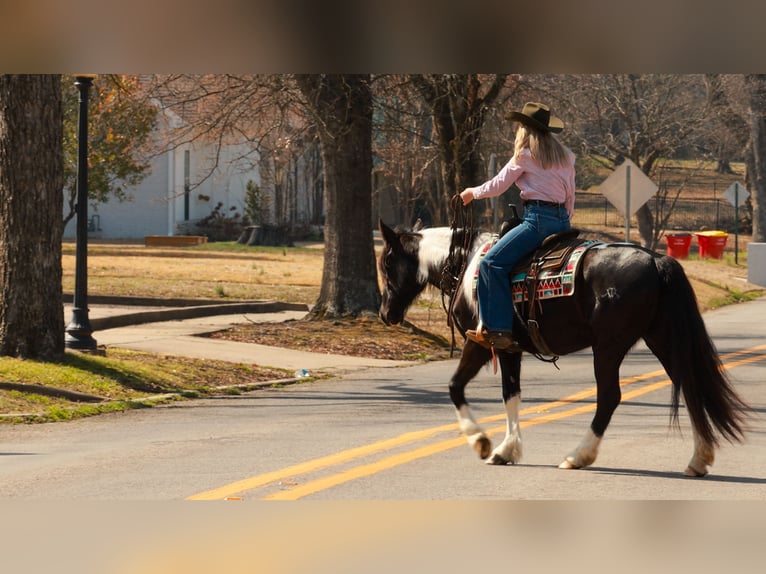 Gypsy Horse Mix Mare 5 years 14.3 hh Pinto in Quitman
