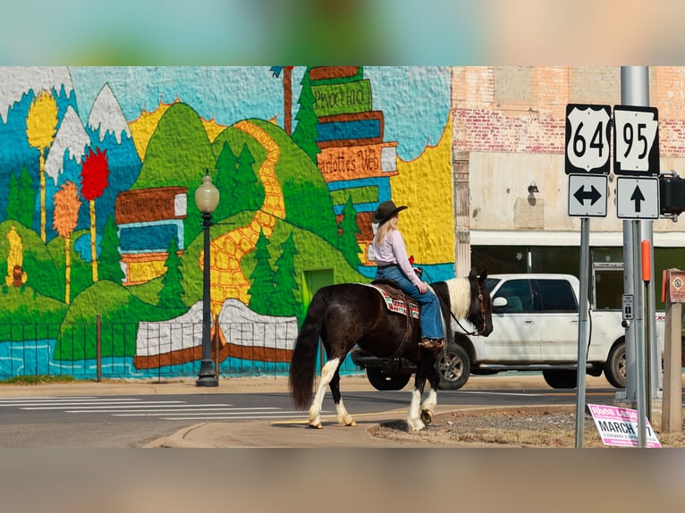 Gypsy Horse Mix Mare 5 years 14.3 hh Pinto in Quitman