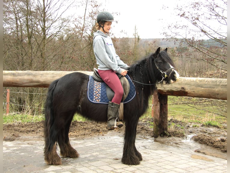 Gypsy Horse Mare 7 years 12,1 hh Black in Großalmerode