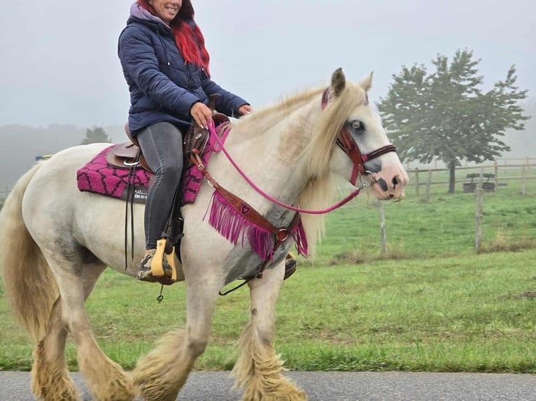 Gypsy Horse Mare 7 years 13,3 hh Pinto in Linkenbach