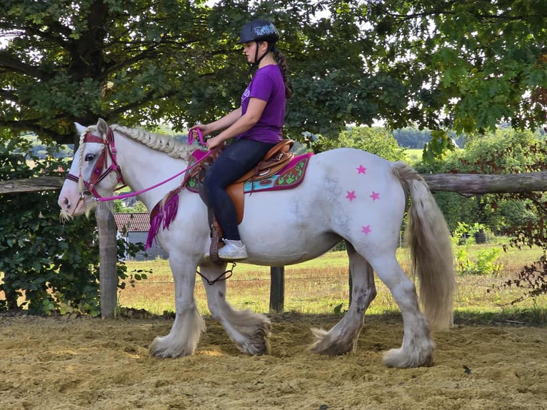 Gypsy Horse Mare 7 years 13,3 hh Pinto in Linkenbach