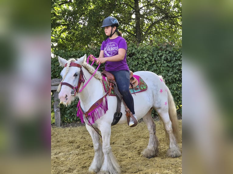 Gypsy Horse Mare 7 years 13,3 hh Pinto in Linkenbach