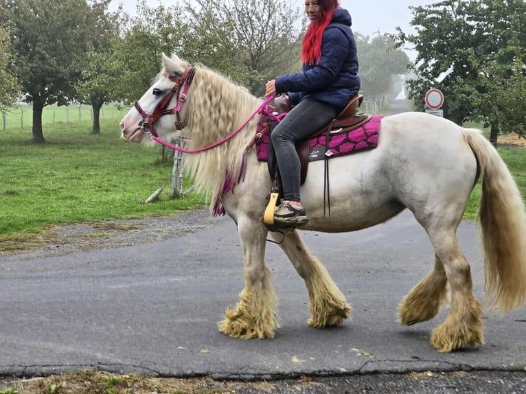 Gypsy Horse Mare 7 years 13,3 hh Pinto in Linkenbach