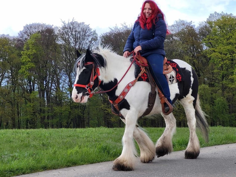 Gypsy Horse Mare 7 years 14,1 hh Pinto in Linkenbach