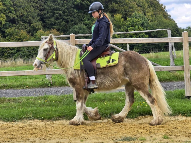 Gypsy Horse Mare 7 years Palomino in Linkenbach