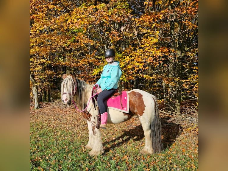 Gypsy Horse Mare 9 years 14 hh Pinto in Linkenbach Gypsy Horse Mare 9 years 14 hh Pinto in Linkenbach