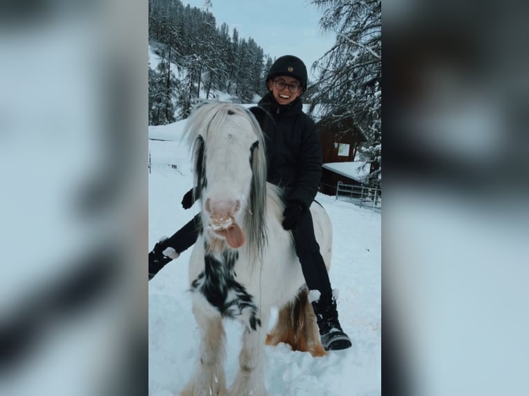 Gypsy Horse Mix Mare 9 years 17 hh Grey-Dark-Tan in Valchava