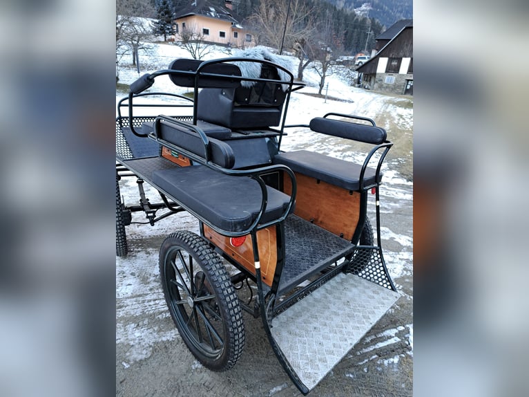 Haflinger Jument 16 Ans 147 cm Alezan in Friesach