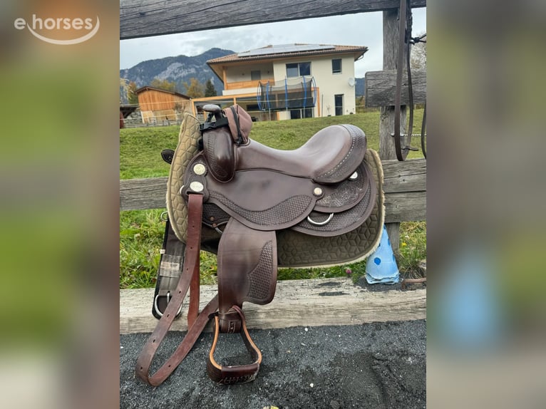 Haflinger Jument 16 Ans 150 cm Champagne in St. Stefan Im Gailtal