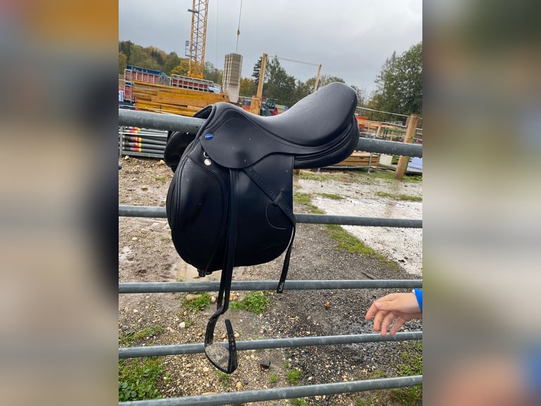 Haflinger Sto 4 år 160 cm Ljusbrun in Großgmain