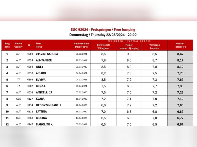 Haflinger Stute 6 Jahre 145 cm Palomino in Karlsbad