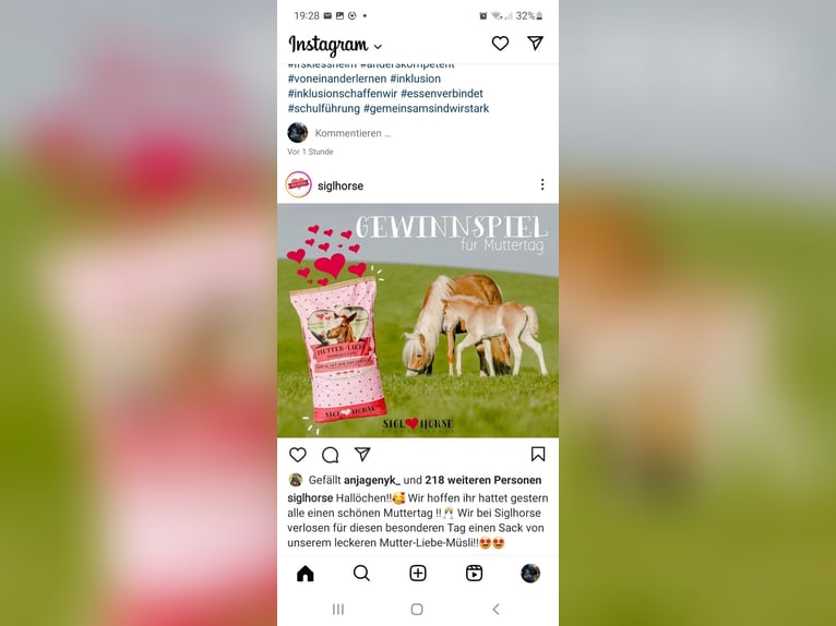 Haflinger Yegua 10 años 151 cm Alazán in Schleedorf