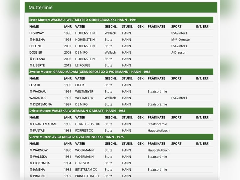 Hannover Giumenta Puledri
 (04/2024) 170 cm Morello in Wysin