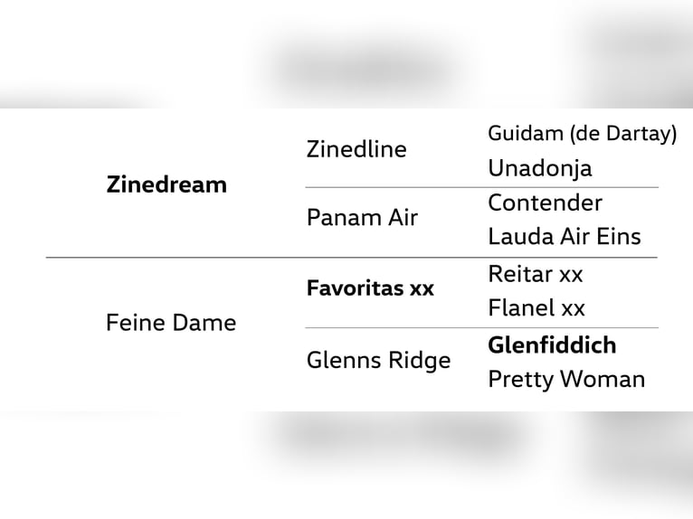 Hannoveraan Merrie 4 Jaar 164 cm Vos in Dannenberg (Elbe)